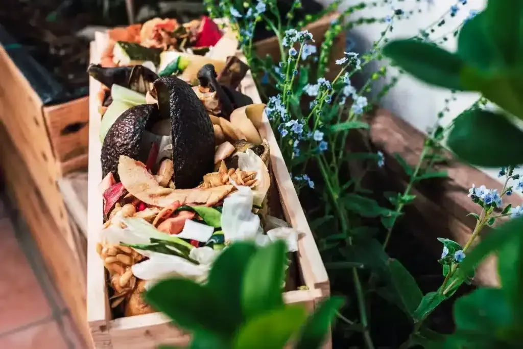 Ekologiczne nawożenie – skarby w twojej kuchni